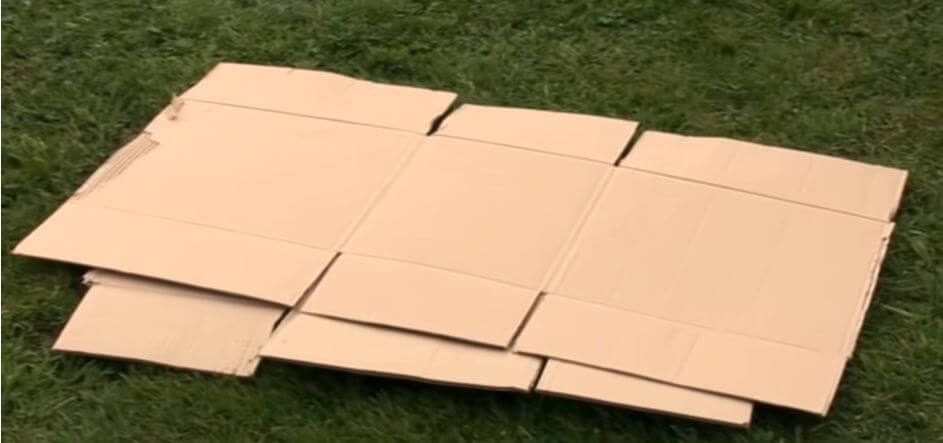 sheets of cardboard