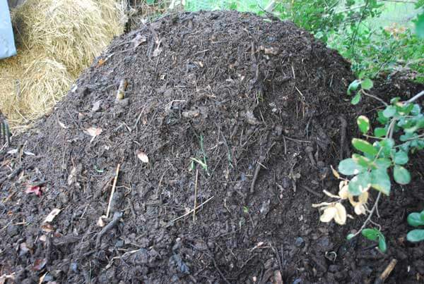 compost mound